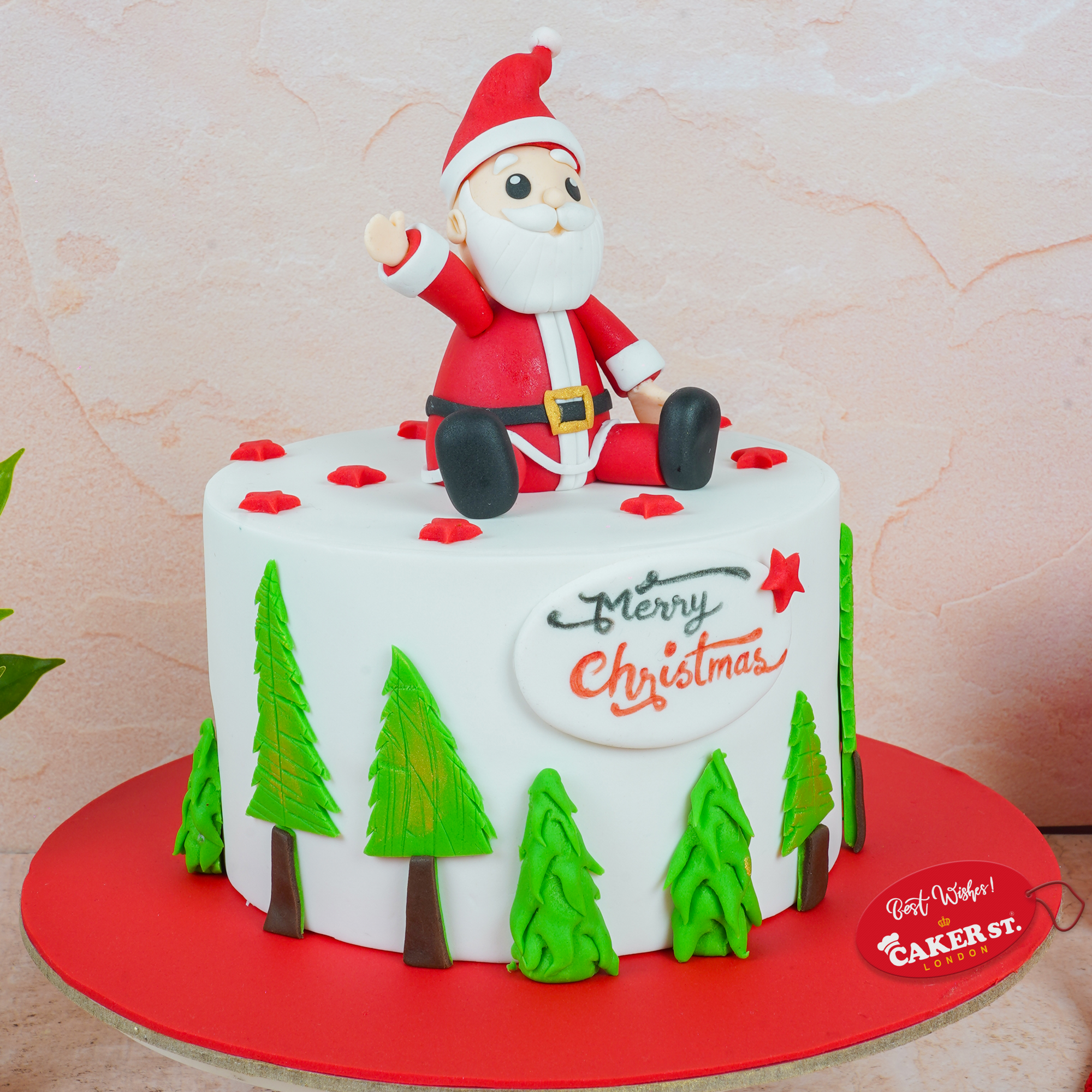 Santa Claus Christmas Cake