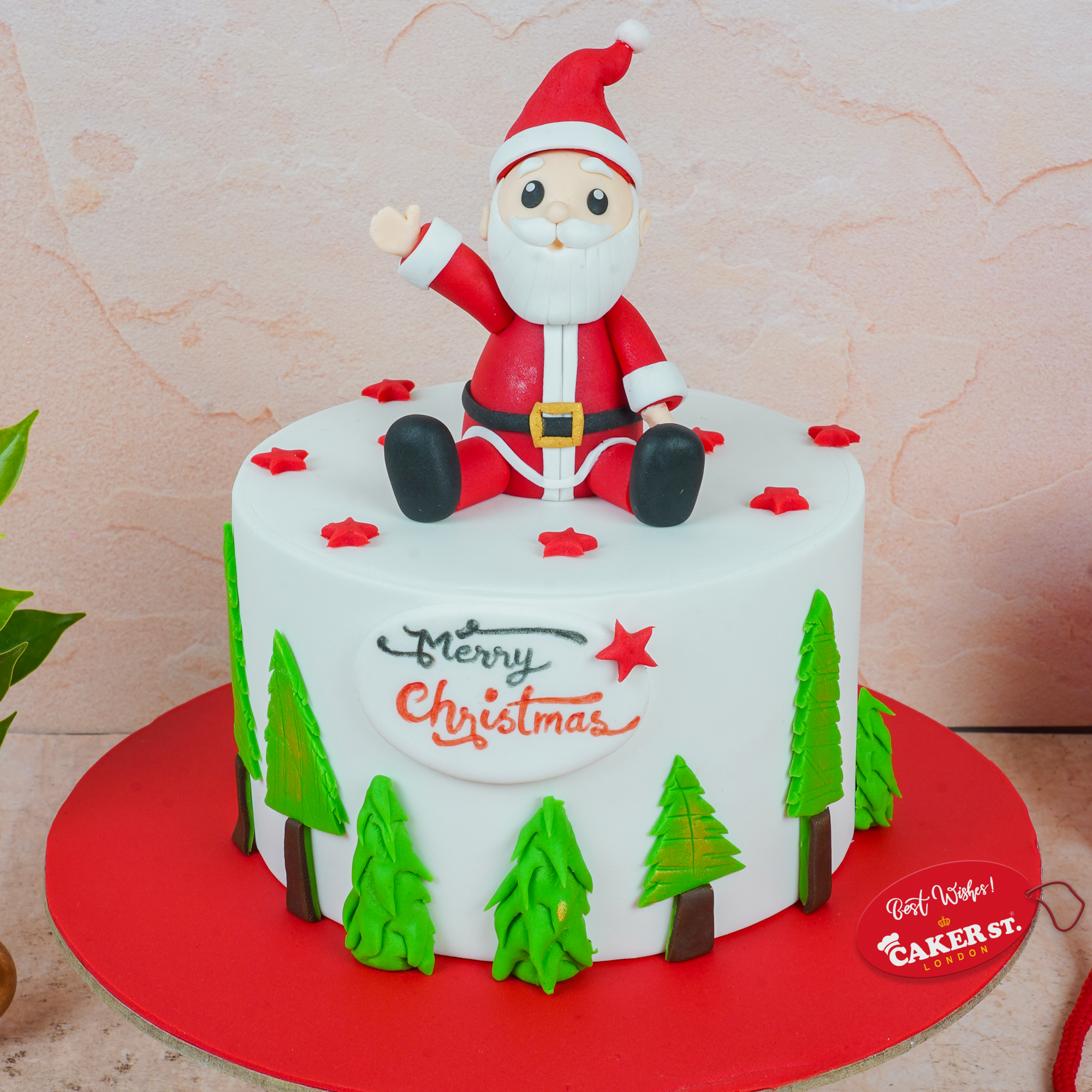 Santa Claus Christmas Cake